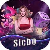 cassino bet